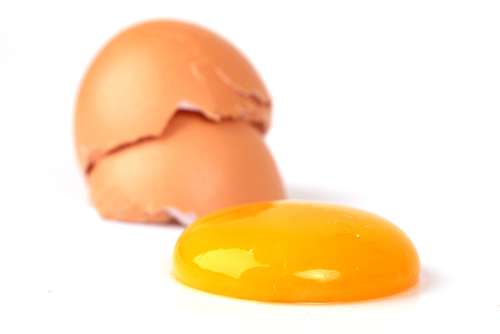 Shutterstock