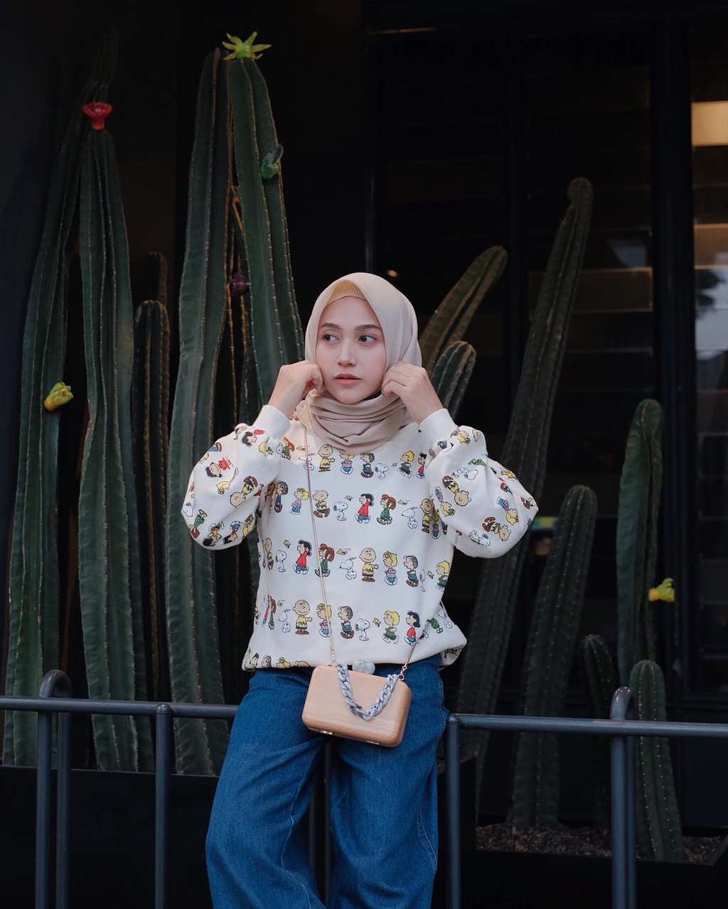 Nisa Cookie Nisa Cookie