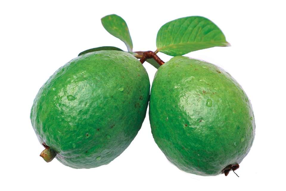 Cara menaikkan trombosit dengan jambu biji