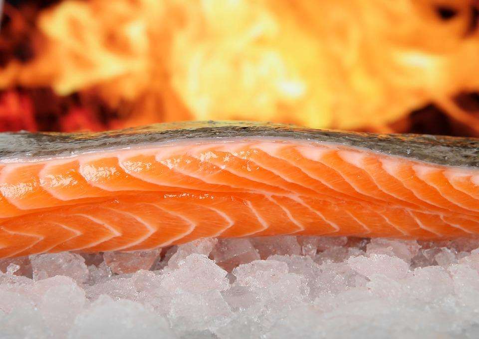 Cara menaikkan trombosit dengan ikan salmon