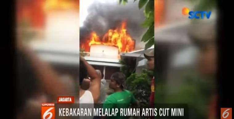 rumah cut mini rumah cut mini