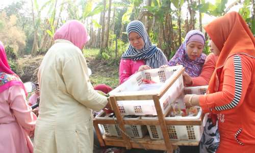 Mak Enung Mak Enung