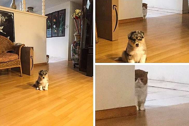 Foto Unik Foto Unik