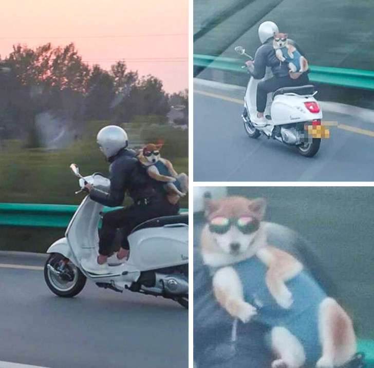 Foto Unik Foto Unik