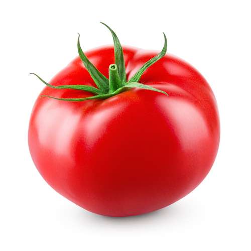 Shutterstock