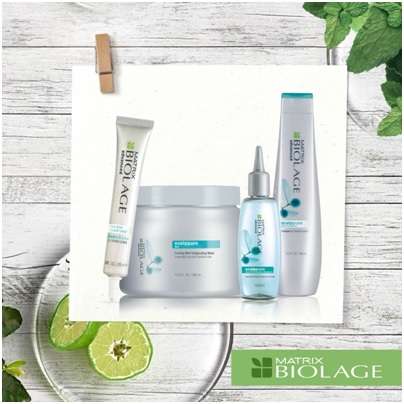 Matrix Biolage Matrix Biolage
