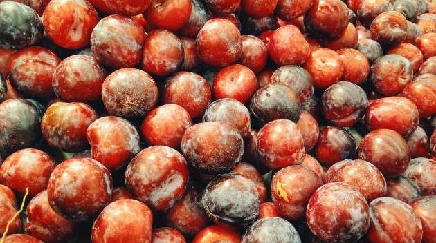 Manfaat buah plum merah untuk diet dan kesehatan