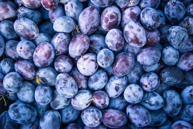 Manfaat buah plum hitam untuk diet dan kesehatan