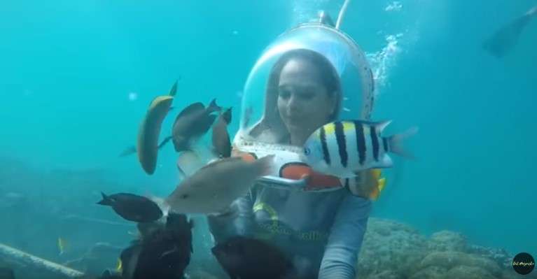 Cut Meryska Cut Meryska