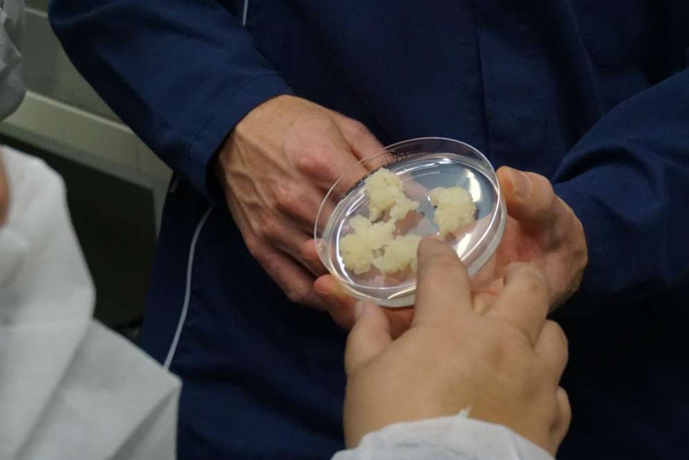Kunjungan ke pabrik Apple Stem Cell, Swiss