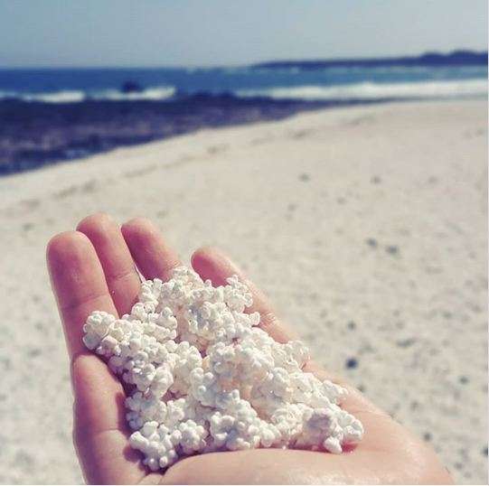 Popcorn Beach