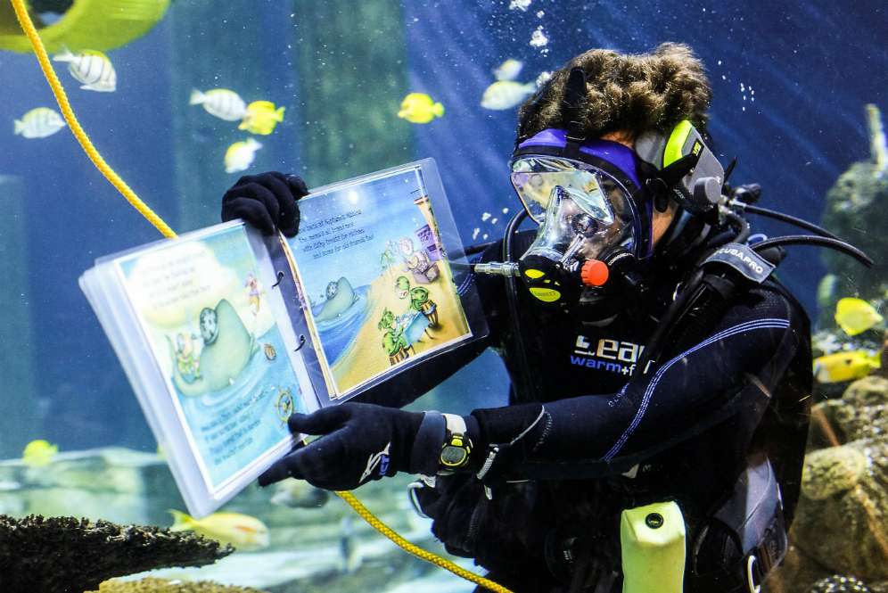 Sea Life Malaysia