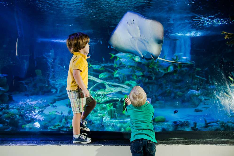 Sea Life Malaysia