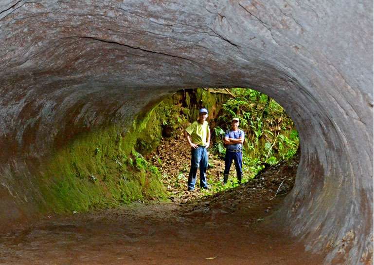 Paleoburrow