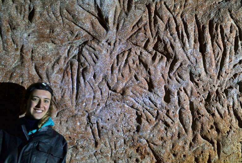 Paleoburrow