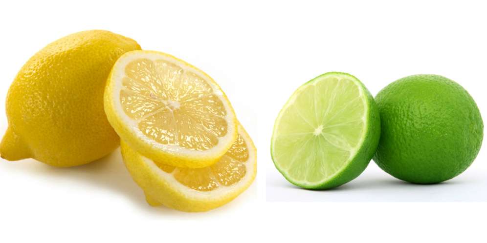 shutterstock