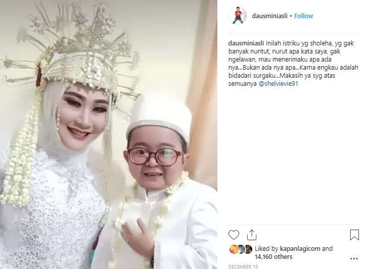 Daus Mini
