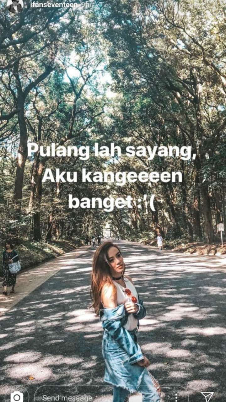Ifan seventeen