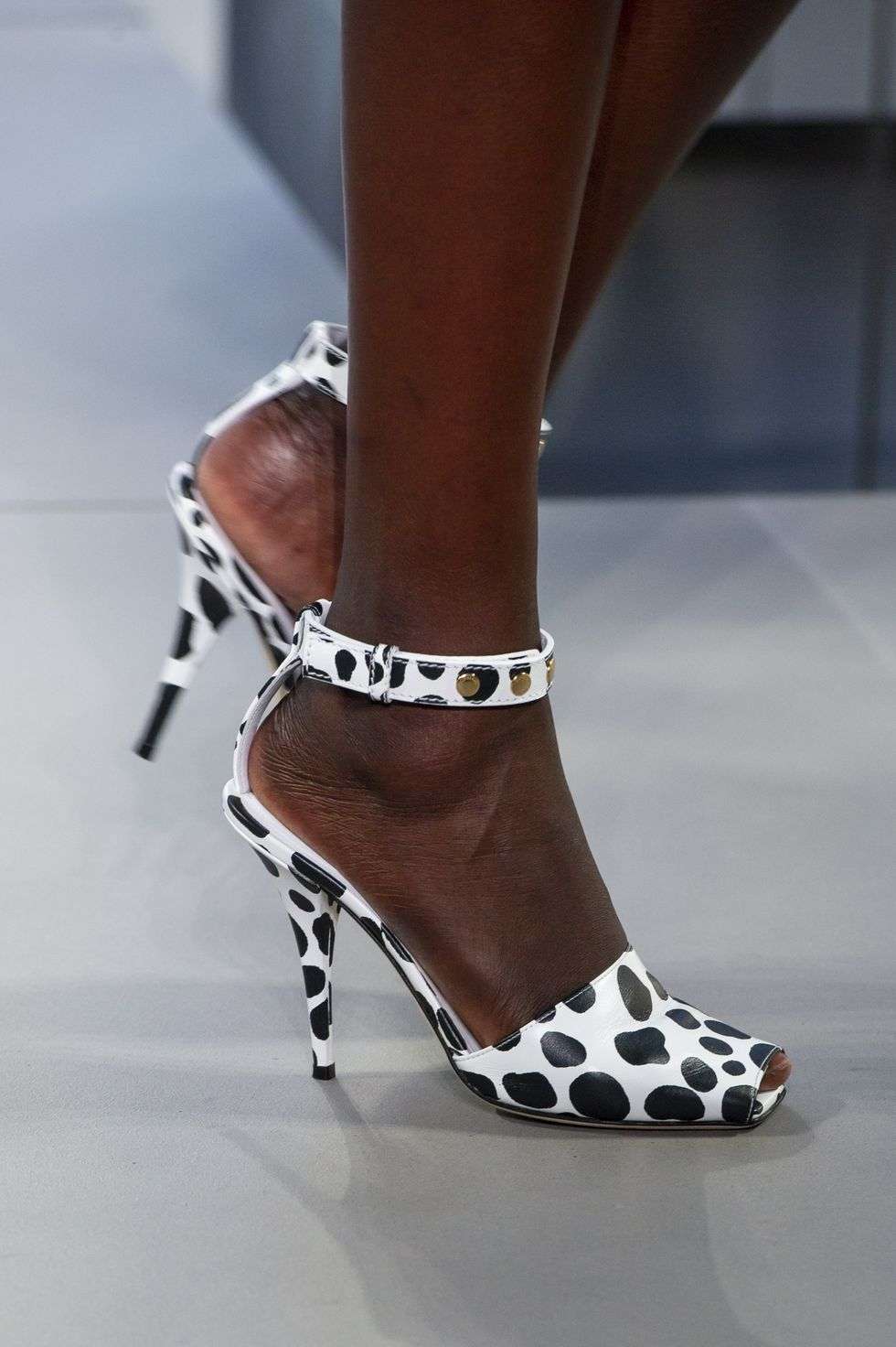 Motif Hewan