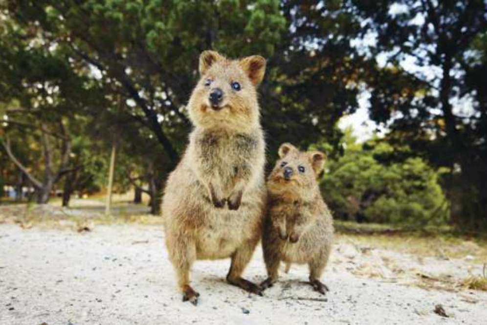Australia
