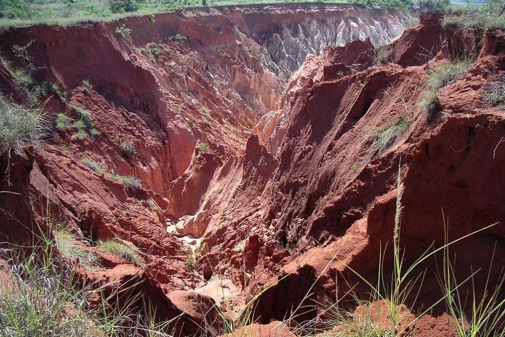 Sungai Merah Madagaskar