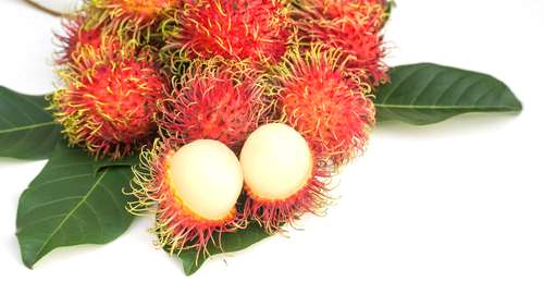 Rambutan