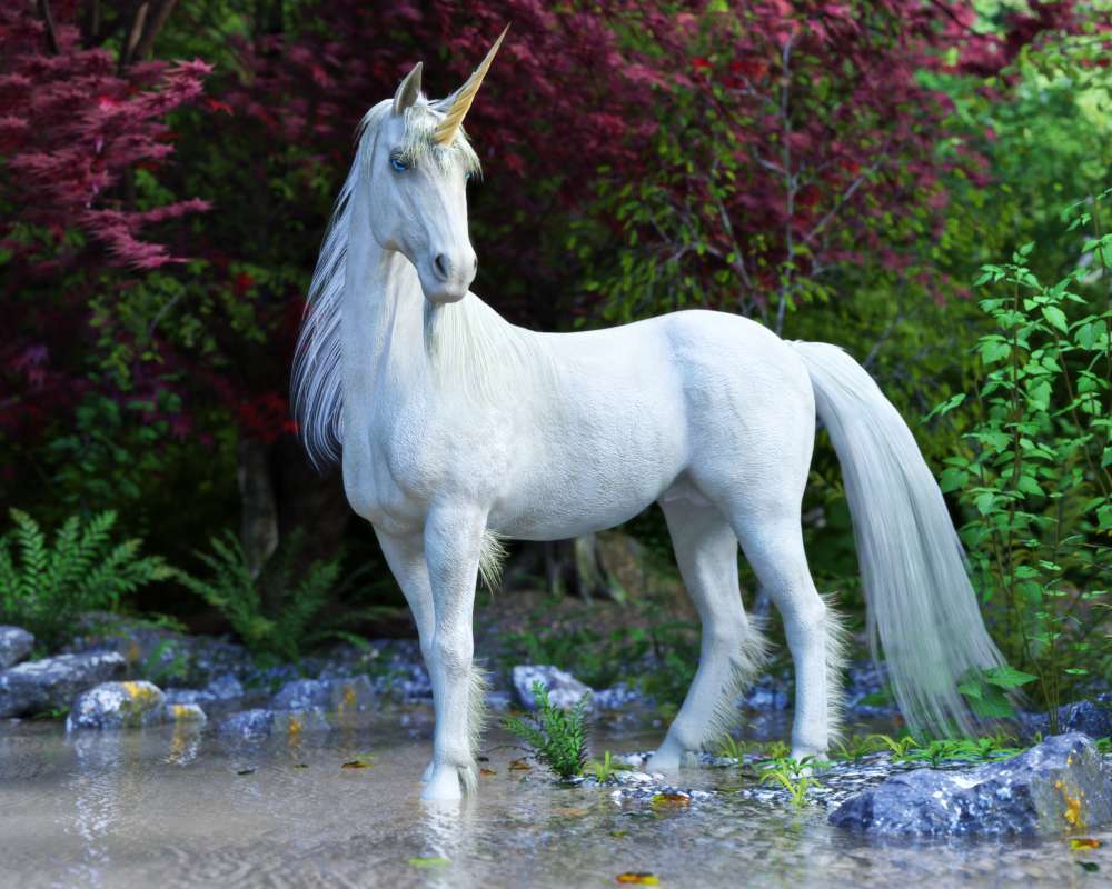 Unicorn