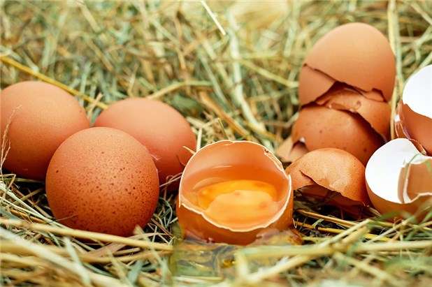 Cara memutihkan kulit secara alami dan mudah dengan putih telur