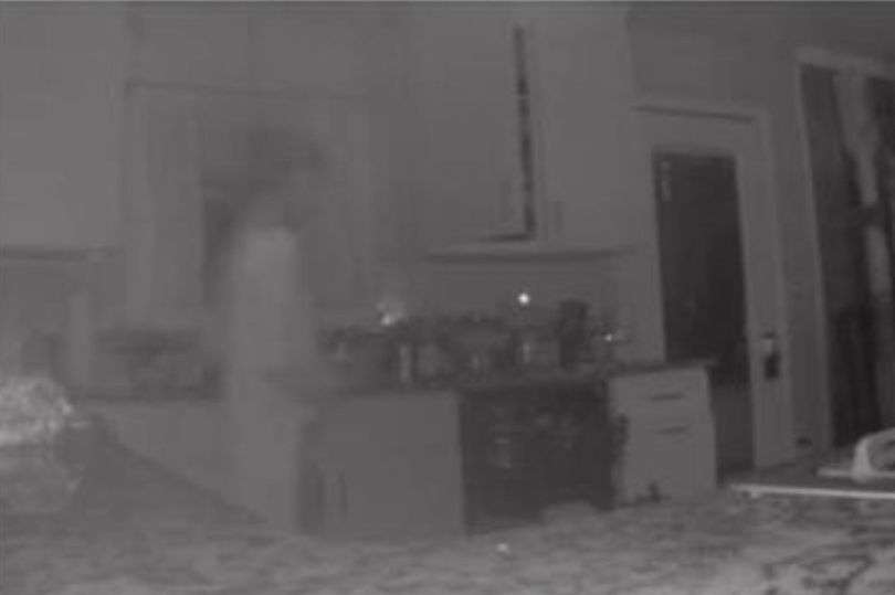 Sosok Hantu Sosok Hantu