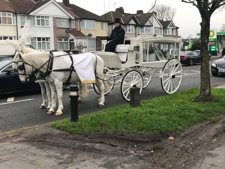 Pengantaran peti jenazah ke kuburan menggunakan kereta kuda.