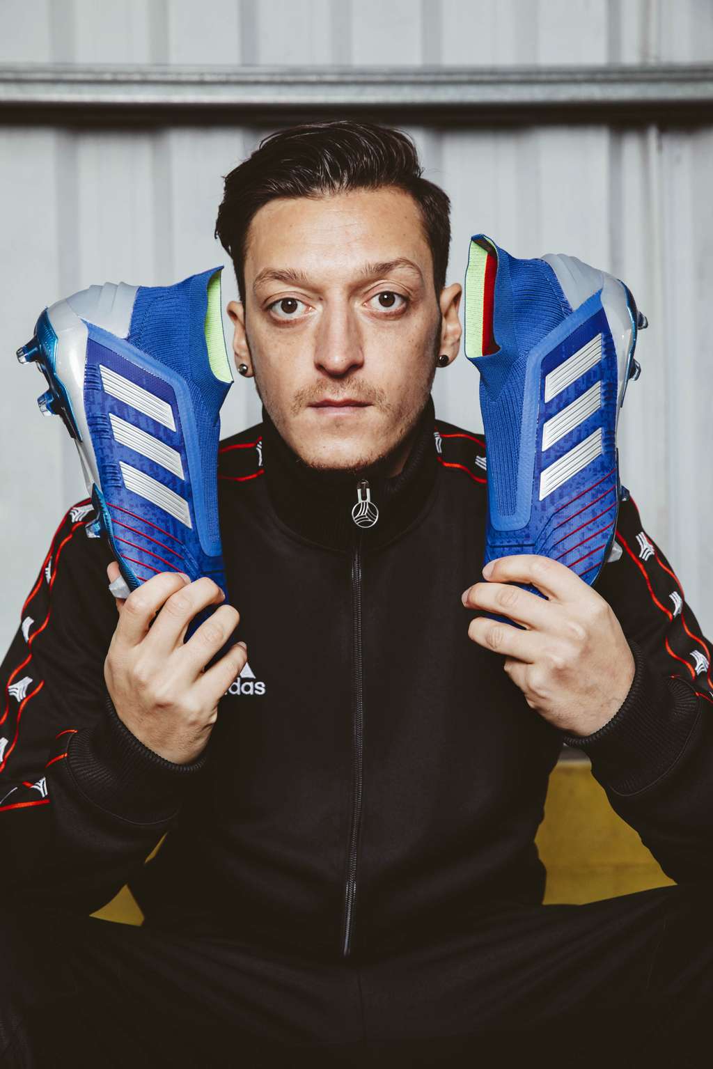 Mesut Ozil