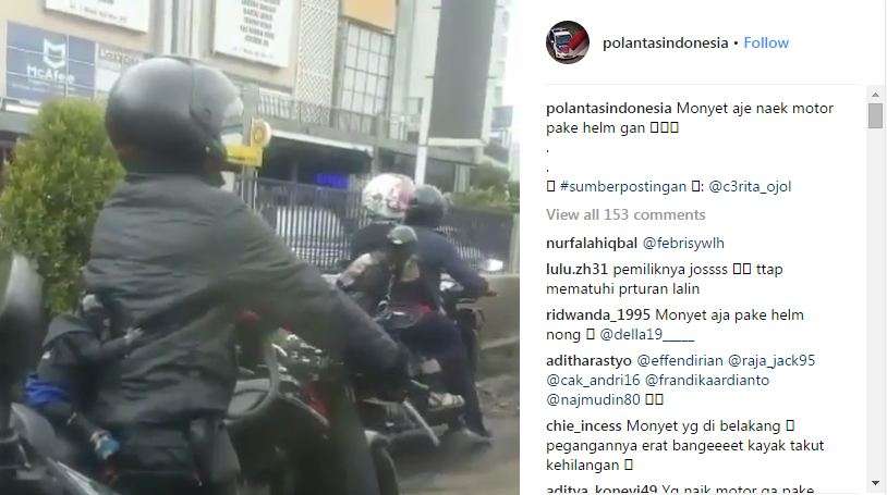 Monyet saja mau pakai helm, lho.