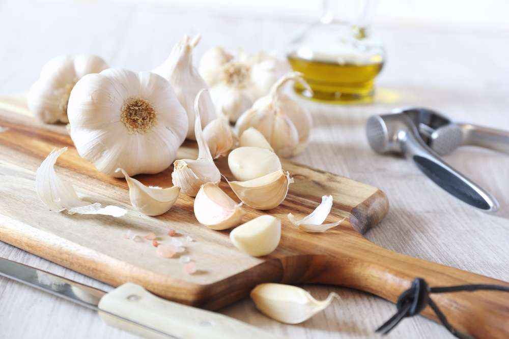 shutterstock