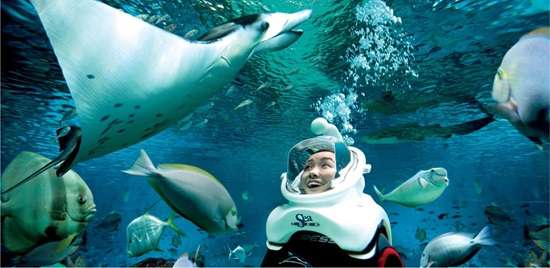 ©rwsentosa