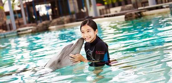 ©rwsentosa