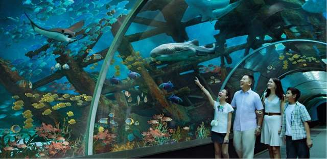 ©rwsentosa