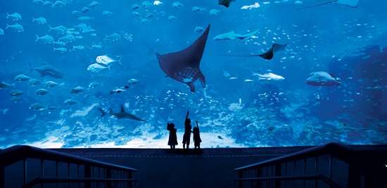 ©rwsentosa
