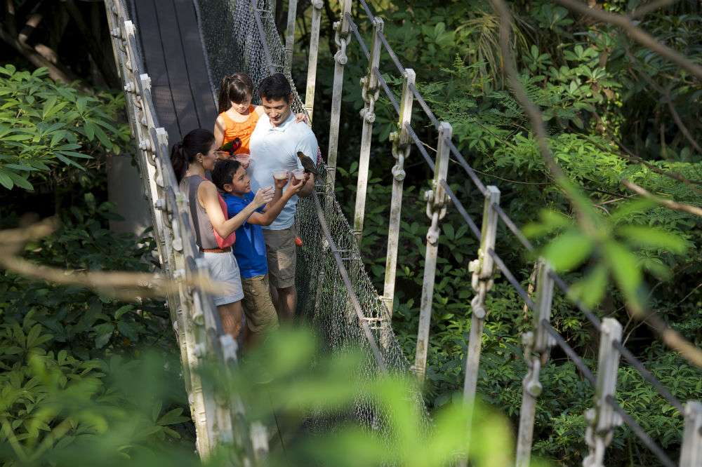 Taman Cagar Alam Singapura