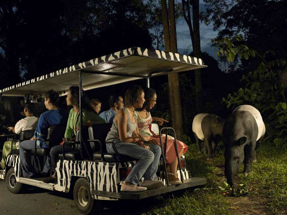 Taman Cagar Alam Singapura