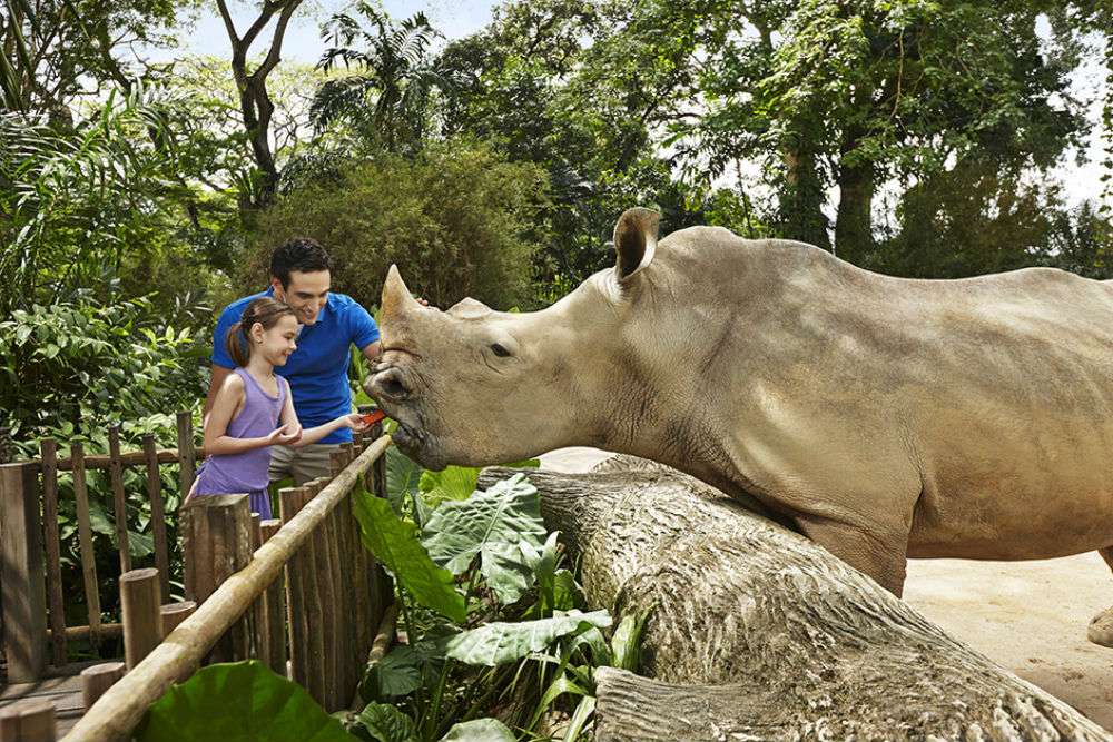 Taman Cagar Alam Singapura
