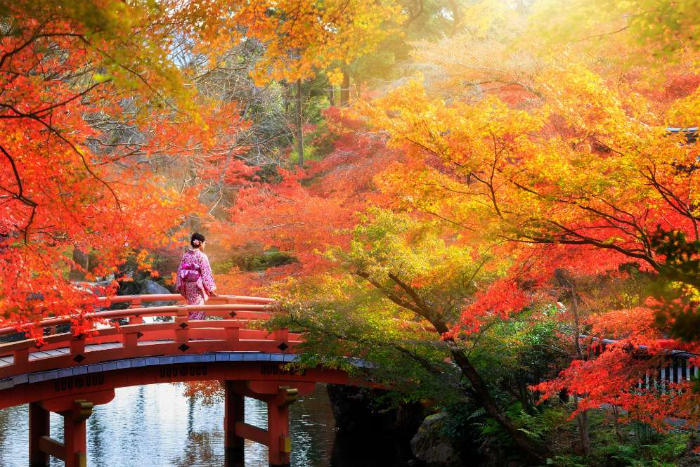 Kyoto