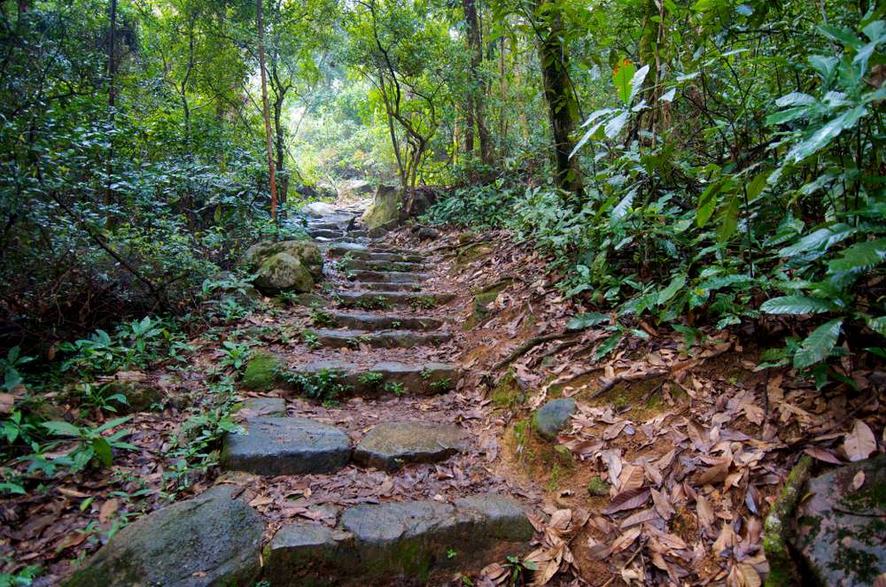 Tai Po Kau