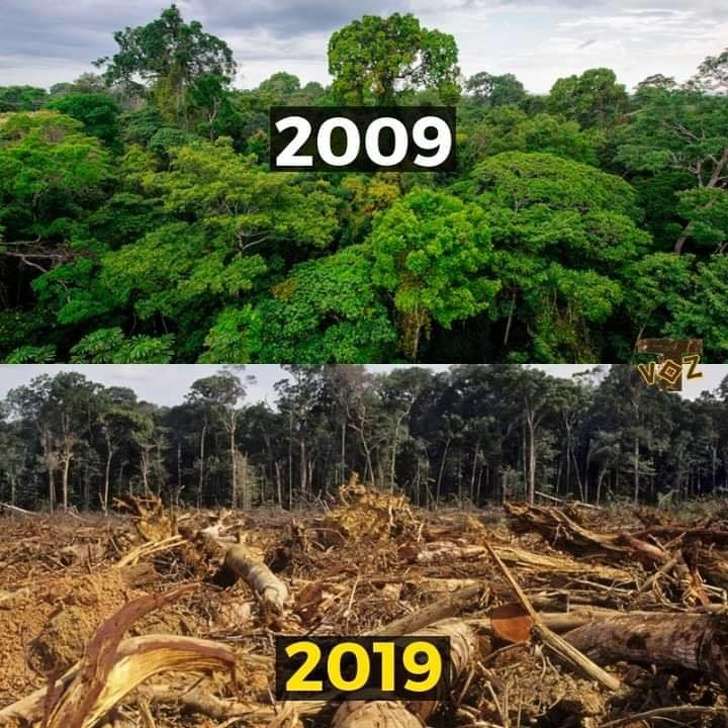 10 Years Challenge