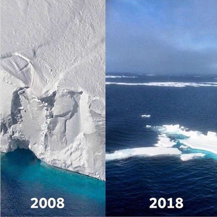 10 Years Challenge