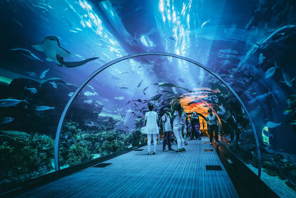 Wisata di Dubai