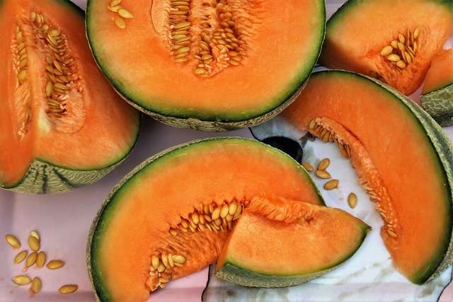 Buah Melon