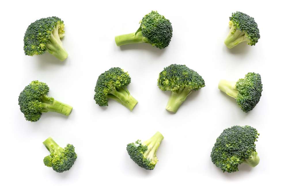 shutterstock