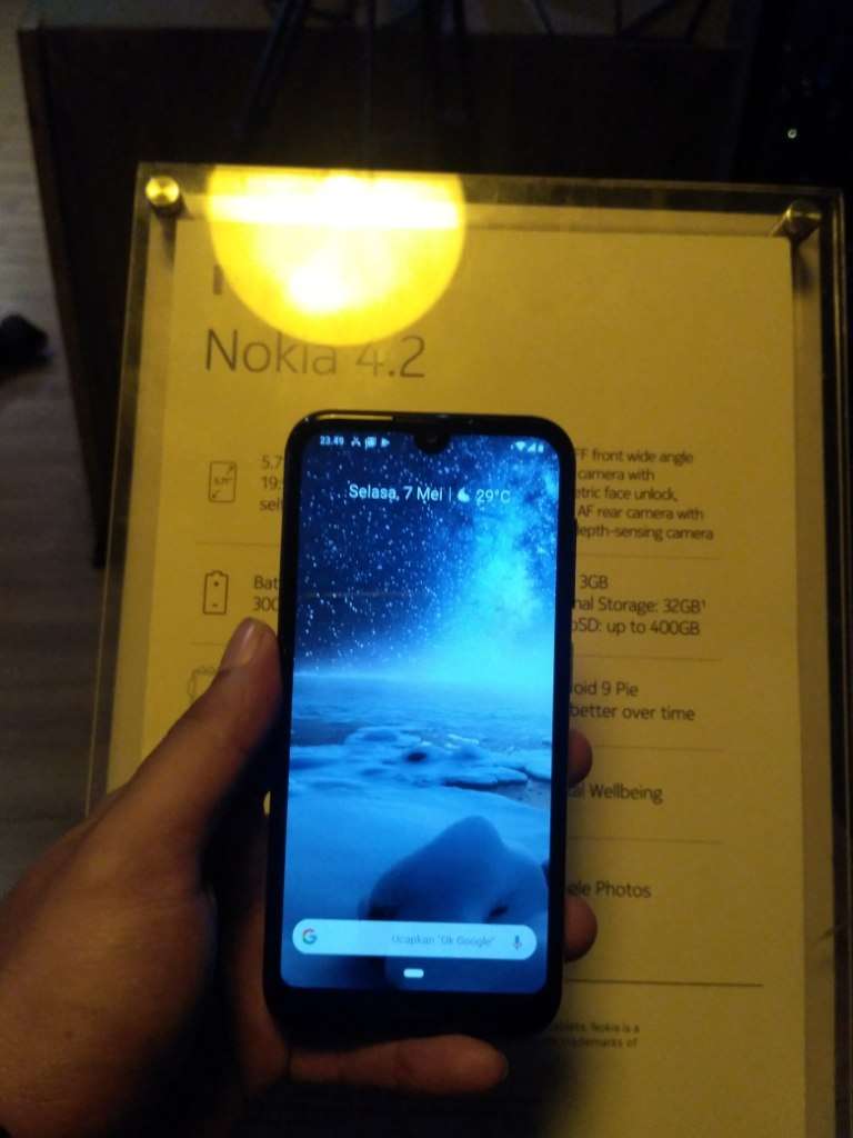 Nokia 4.2 (2)