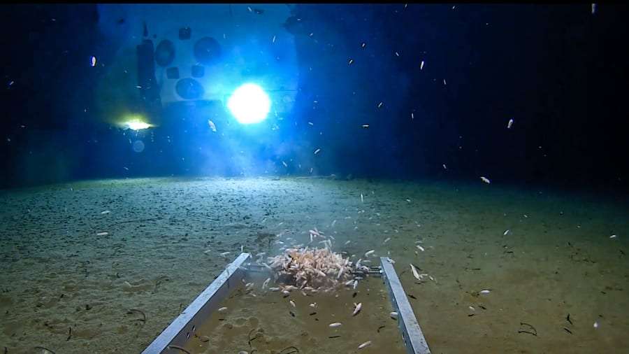 Five Deeps Expedition