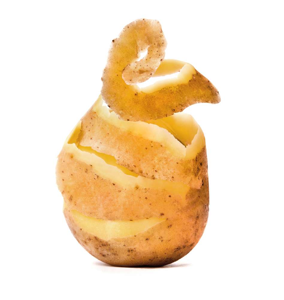 shutterstock